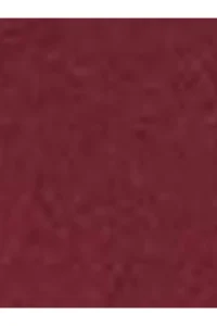 Levi's Women Crew Neck Rejection T-SHIRT - Image 3