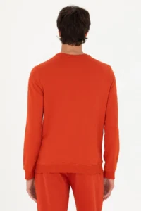 US Polo Assn. Men Brick Red Basic Sweatshirt - Image 5