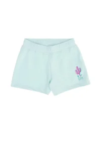 US Polo Assn. Kids Water Green Knitting Shorts
