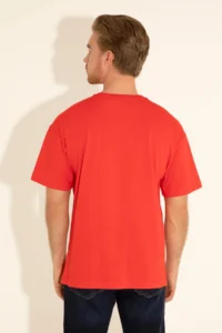 US Polo Assn. Men comfort Fit Crew Neck Red T-Shirt - Image 6