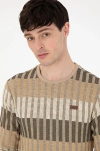 US Polo Assn. Men Regular Fit Crew Neck Stone Sweatshirt - Image 2