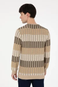 US Polo Assn. Men Regular Fit Crew Neck Stone Sweatshirt - Image 5