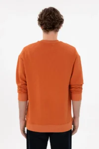 US Polo Assn. Men comfort Fit Crew Neck Cinnamon Sweatshirt - Image 5