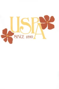 US Polo Shirt Assn. Girls' Yellow Bottom Top Set - Image 6