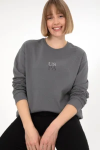 US Polo Assn. Men comfort Fit Crew Neck Gray Basic Sweatshirt - Image 3