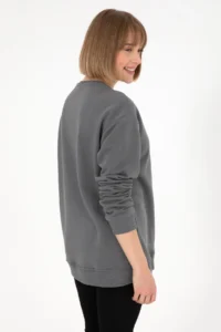 US Polo Assn. Men comfort Fit Crew Neck Gray Basic Sweatshirt - Image 4