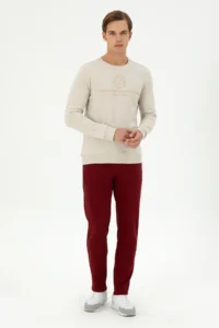 US Polo Assn. Men Regular Fit Crew Neck Stone Sweatshirt - Image 4