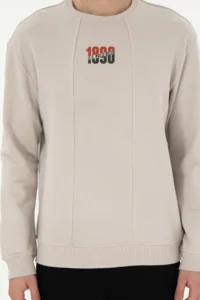 US Polo Assn. Men comfort Fit Crew Neck Stone Sweatshirt - Image 6