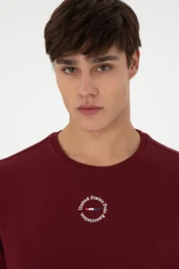 US Polo Assn. Men Regular Fit Crew Neck Burgundy Sweatshirt - Image 2