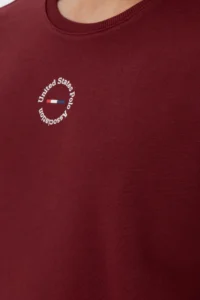 US Polo Assn. Men Regular Fit Crew Neck Burgundy Sweatshirt - Image 7