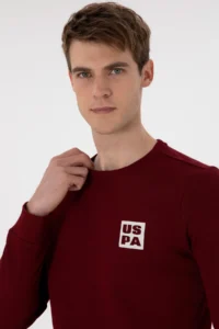 US Polo Assn. Men Regular Fit Crew Neck Burgundy Sweatshirt - Image 2