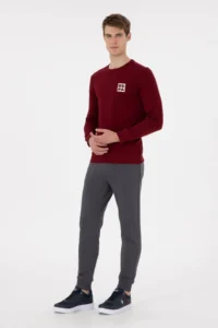 US Polo Assn. Men Regular Fit Crew Neck Burgundy Sweatshirt - Image 4