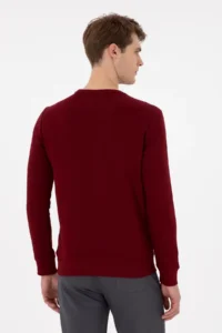 US Polo Assn. Men Regular Fit Crew Neck Burgundy Sweatshirt - Image 5