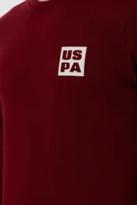 US Polo Assn. Men Regular Fit Crew Neck Burgundy Sweatshirt - Image 7