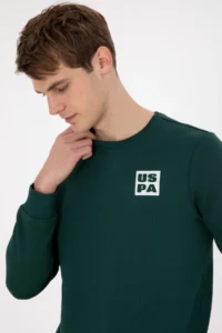US Polo Assn. Men Regular Fit Crew Neck Dark Green Sweatshirt - Image 2