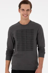 US Polo Assn. Men Regular Fit Crew Neck Anthracite Sweatshirt - Image 3