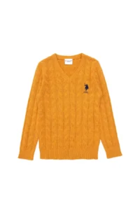 US Polo Assn. Boys' Mustard Basic V-Neck Sweater