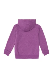 US Polo Assn. Boys' Violet Basic Hooded Sweatshirt - Image 2