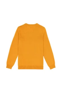 US Polo Assn. Boys' Mustard Basic V-Neck Sweater - Image 2