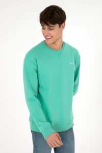 US Polo Assn. Men Crew Neck Mint Basic Fleece Sweatshirt