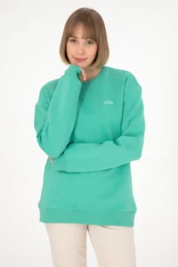US Polo Assn. Men Crew Neck Mint Basic Fleece Sweatshirt - Image 4