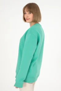 US Polo Assn. Men Crew Neck Mint Basic Fleece Sweatshirt - Image 5
