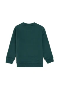 US Polo Assn. Boys' Dark Green Basic Crew Neck Sweatshirt - Image 4