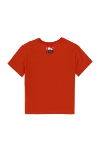 US Polo Assn. Boys' Brick Red Crew Neck T-Shirt - Image 4
