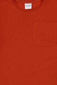 US Polo Assn. Boys' Brick Red Crew Neck T-Shirt - Image 5