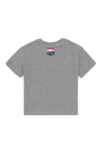 US Polo Assn. Boys' Gray Melanj Crew Neck T-Shirt - Image 4