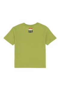 US Polo Assn. Boys' Pistachio Green Crew Neck T-Shirt - Image 4
