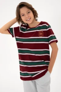 US Polo Assn. Boys' Burgundy Basic T-Shirt
