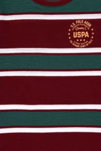 US Polo Assn. Boys' Burgundy Basic T-Shirt - Image 5