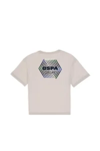 US Polo Assn. Boys' Light Gray comfort Crew Neck T-Shirt - Image 3