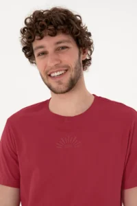 US Polo Assn. Men Regular Fit Crew Neck Cherry T-Shirt - Image 2