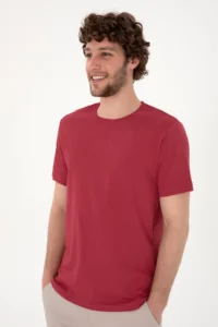 US Polo Assn. Men Regular Fit Crew Neck Cherry T-Shirt - Image 3