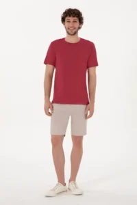 US Polo Assn. Men Regular Fit Crew Neck Cherry T-Shirt - Image 4