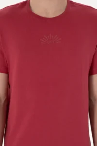 US Polo Assn. Men Regular Fit Crew Neck Cherry T-Shirt - Image 6