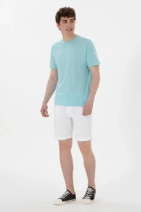 US Polo Assn. Men Regular Fit Crew Neck Aqua T-Shirt - Image 4