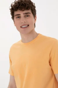 US Polo Shirt Assn. Men Regular Fit Crew Neck Orange T-Shirt - Image 2