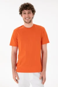 US Polo Assn. Men Regular Fit Crew Neck Pomegranate Basic T-Shirt - Image 2