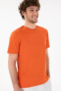 US Polo Assn. Men Regular Fit Crew Neck Pomegranate Basic T-Shirt - Image 4