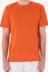 US Polo Assn. Men Regular Fit Crew Neck Pomegranate Basic T-Shirt - Image 7