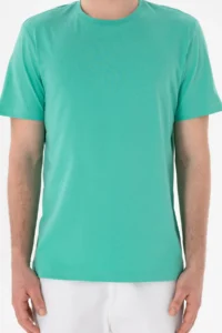 US Polo Assn. Men Regular Fit Crew Neck Mint Basic T-Shirt - Image 7