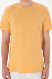US Polo Shirt Assn. Men Regular Fit Crew Neck Orange Basic T-Shirt - Image 7