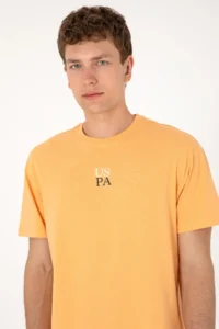 US Polo Shirt Assn. Men comfort Fit Crew Neck Orange T-Shirt - Image 4