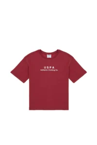 US Polo Assn. Boys' Cherry comfort Basic Crew Neck T-Shirt