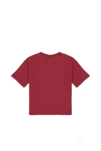 US Polo Assn. Boys' Cherry comfort Basic Crew Neck T-Shirt - Image 2