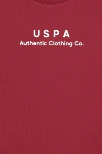 US Polo Assn. Boys' Cherry comfort Basic Crew Neck T-Shirt - Image 3