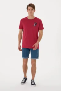 US Polo Assn. Men Regular Fit Crew Neck Cherry T-Shirt - Image 4